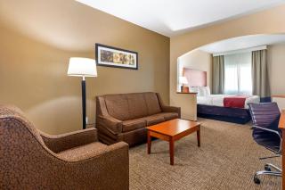 Comfort Suites North Dallas - 6
