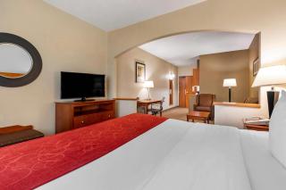 Comfort Suites North Dallas - 2