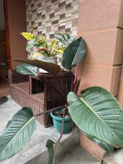 Matityahu House - Cozy, Spacious and DOT-Accredited - Baguio - 5