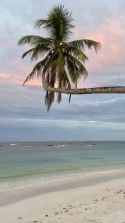 Zanzibar Lodge - 5