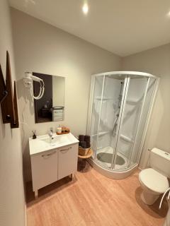 Le Vic de Lomagne - 8