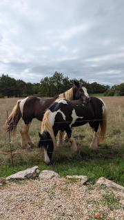 Le chalet du bien-être - 4