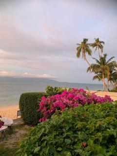 Serenity Beachfront Bungalow Ko Samui - 6