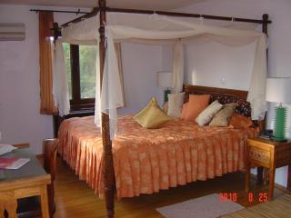 Resort Bali Spa - Cornu de Jos - 2