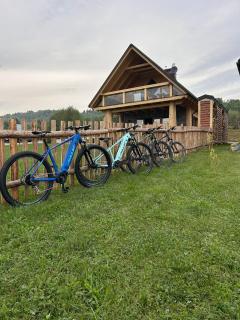 Wood Szczęścia - 1