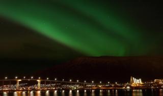 Elegant Apartment with Northern Lights View central Tromsø - Tromsø - 0