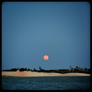 Studio AcquaHouse Tatajuba - 7