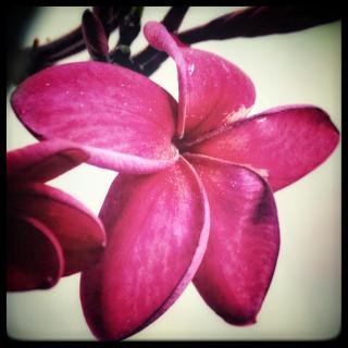 Studio AcquaHouse Tatajuba - 9