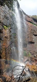 Heeloya mount view garden - 7