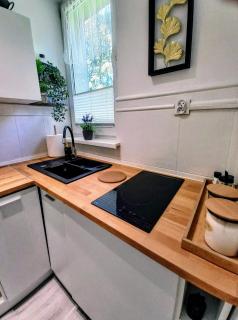 Apartament Relax, Balkon,WiFi - 9