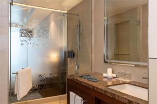 Radisson Blu Hotel, Conakry - 9