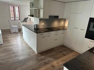 Beautiful Gersau appartment - Gersau - 7