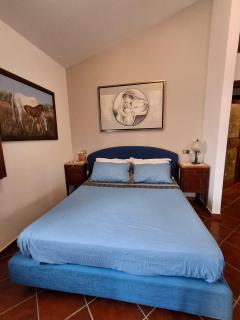 The Green Planet - 4