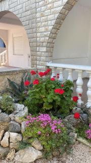 Apartman Ivan - 3
