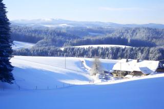 Willmannshof - 3