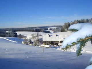 Willmannshof - 2