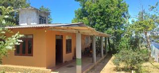 Birds Sanctuary Home Stay - Nawalagama - 1