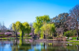 The Tranquil Den - Regent's Park - by Frankie Says - 3