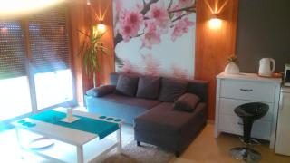 Wyjątkowy Apartament z Sauną w Rewalu - Rewal - 7