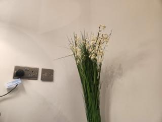 Ground Floor Apartment - 5