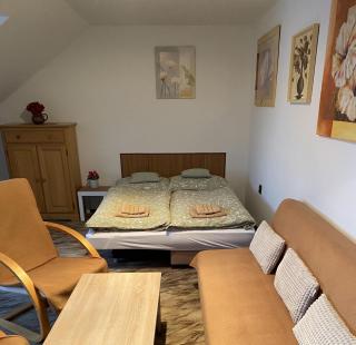 Apartmán Na Ostrově Beroun - 4