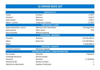 Résidence Grand Bois B - CONFORTABLE 2 PIECES, SKIS AUX PIEDS ET PROCHE DES COMMERCES MAE-3324 - 3