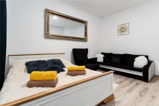 Big Lion Apartment - 2