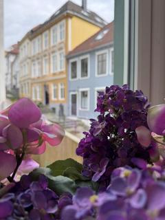 Bergen city centre, fantastic, new apartment - 8