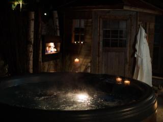 Fabulous luxury chalet authentic ski village - 3