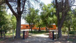 Casa vinedos de Altamira - La Consulta - 0