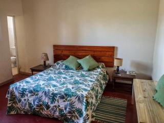 Casa vinedos de Altamira - La Consulta - 3