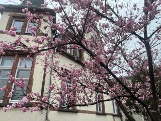 Ferienwohnung Burg 2 - 8