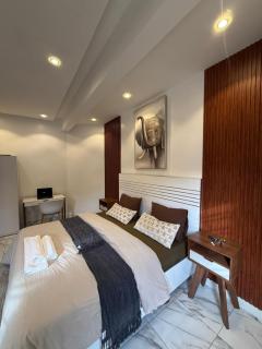 logement luxueuse au pieds du monument de la renaissance africaine - 8