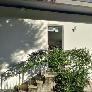 Il Gelsomino - 0
