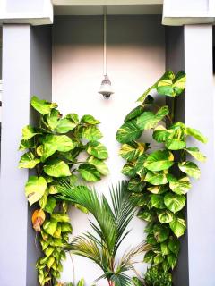 Downtown Manor-Panavila - 0