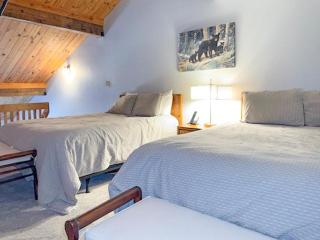 Mountain Inn Lodge 61 with Wintergreen Advantage - 6