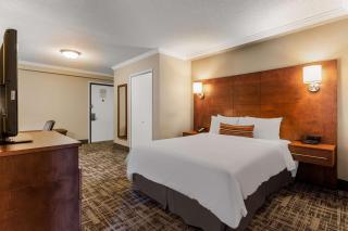 Best Western Ville-Marie Montreal Hotel & Suites - 2