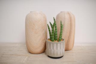 Paradise Rooms Bari - 2