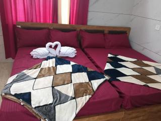 winter green valley - 4