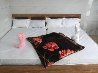 winter green valley - 2