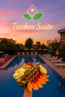 Treekos Suite Hotel Istanbul Airport - 6