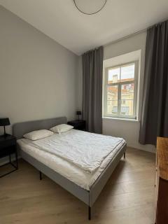 Domillion 2bdr new apt on Pilies st - Vilnius - 3