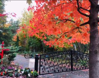 Maple Tree Oasis 2 bedroom in Pickering - 7