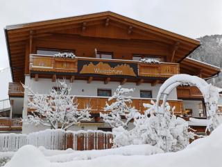 Apartments Weissbrunn - 2