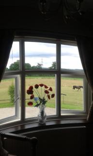 Meadow Farm Cottage - 4