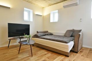Domillion Penthouse Duplex w Terrace 18 ppl P36T - Vilnius - 1