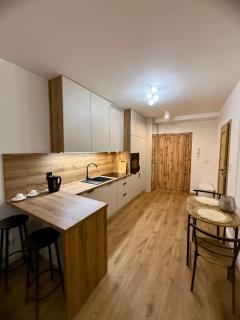 LOFT Apartament I Opole - 9