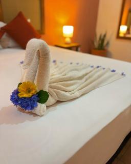 Hotel International House Riviera Maya - 5