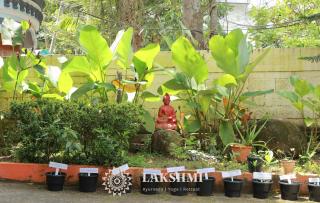 Lakshmi Ayurveda & Yoga Retreat - 1