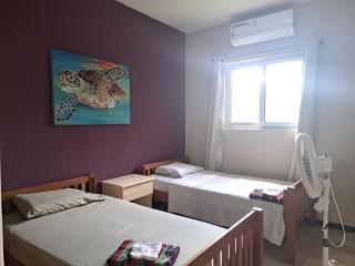 Casa palmera - 4